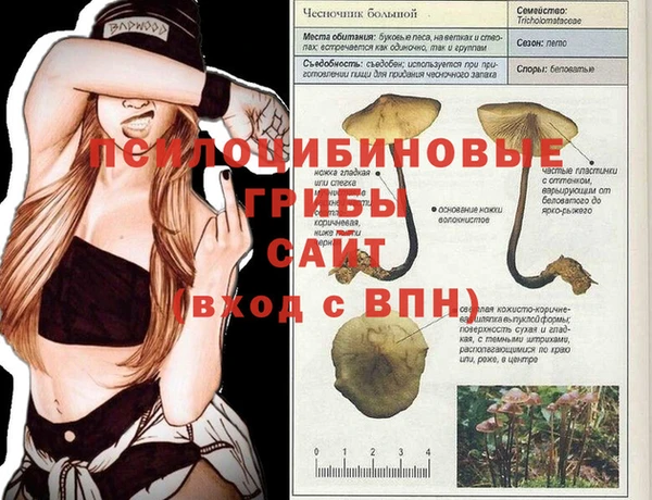 mdma Нязепетровск