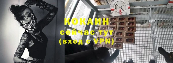 спайс Няндома