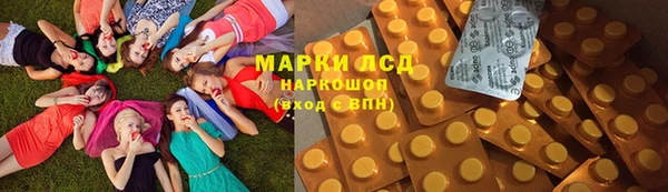 спайс Няндома