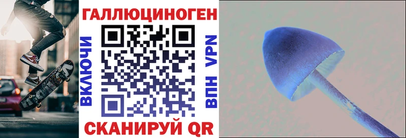 Галлюциногенные грибы MAGIC MUSHROOMS  Купить  Спас-Клепики 
